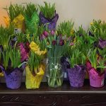 daffodils on table